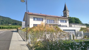 Imag1551 19531299649 o.300x300