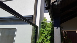 Resized to 50 20160823 105627.300x300